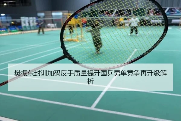 樊振东封训加码反手质量提升国乒男单竞争再升级解析