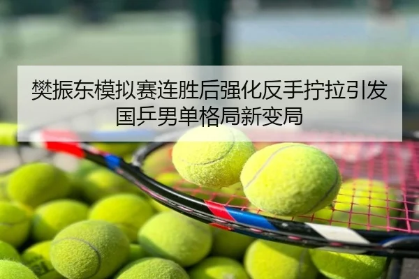 樊振东模拟赛连胜后强化反手拧拉引发国乒男单格局新变局